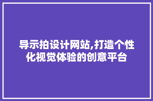 导示拍设计网站,打造个性化视觉体验的创意平台