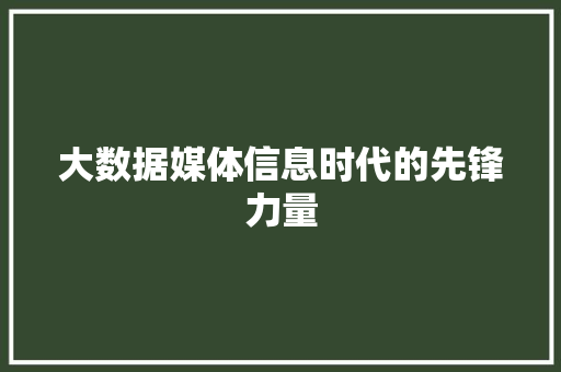 大数据媒体信息时代的先锋力量