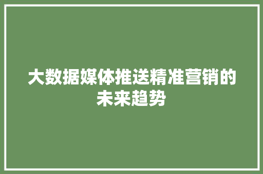 大数据媒体推送精准营销的未来趋势
