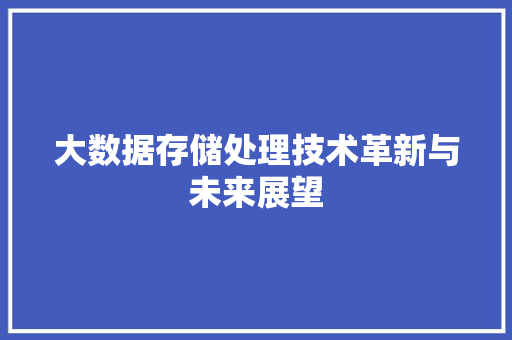 大数据存储处理技术革新与未来展望