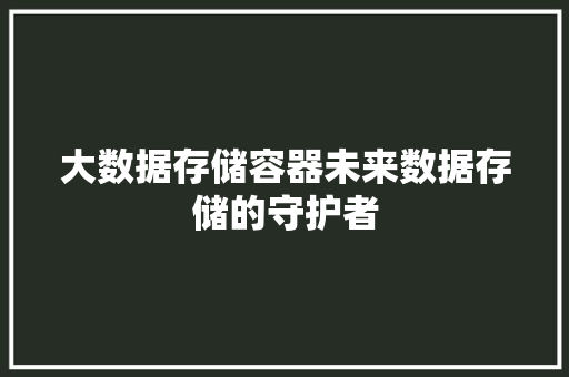 大数据存储容器未来数据存储的守护者