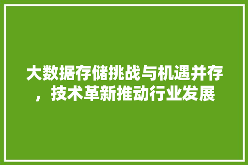 大数据存储挑战与机遇并存，技术革新推动行业发展