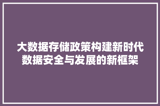 大数据存储政策构建新时代数据安全与发展的新框架