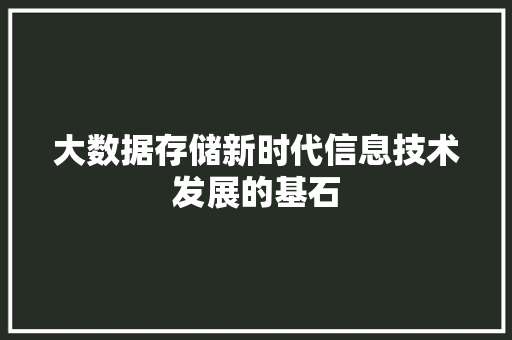 大数据存储新时代信息技术发展的基石