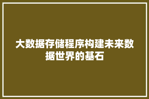 大数据存储程序构建未来数据世界的基石