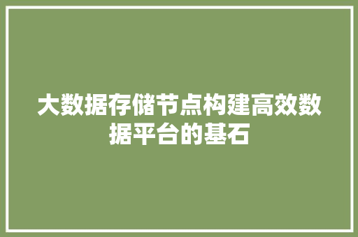 大数据存储节点构建高效数据平台的基石