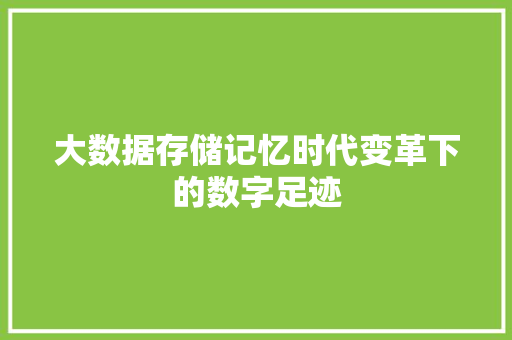 大数据存储记忆时代变革下的数字足迹