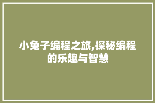 小兔子编程之旅,探秘编程的乐趣与智慧