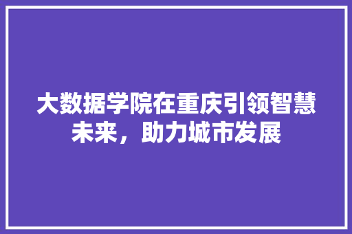 大数据学院在重庆引领智慧未来，助力城市发展