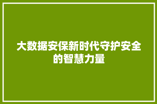 大数据安保新时代守护安全的智慧力量