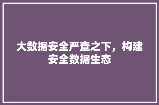 大数据安全严查之下，构建安全数据生态