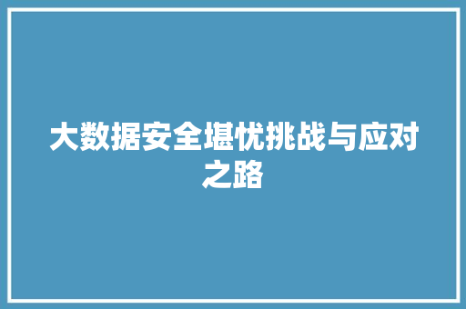 大数据安全堪忧挑战与应对之路