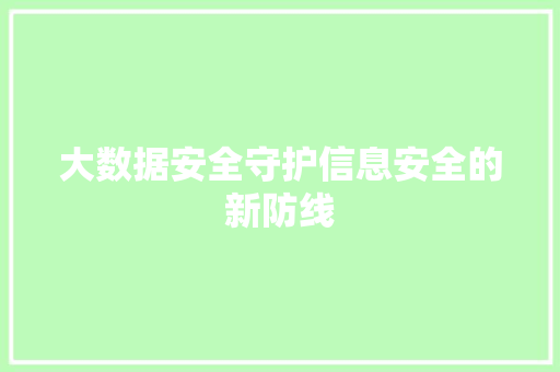 大数据安全守护信息安全的新防线