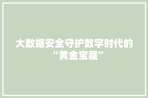 大数据安全守护数字时代的“黄金宝藏”