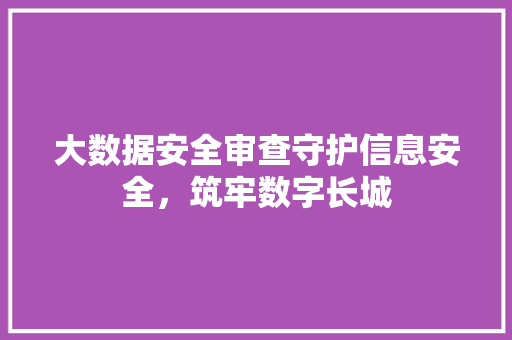 大数据安全审查守护信息安全，筑牢数字长城