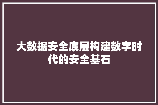 大数据安全底层构建数字时代的安全基石