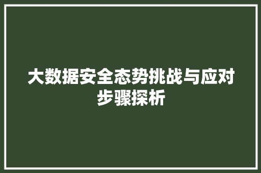大数据安全态势挑战与应对步骤探析