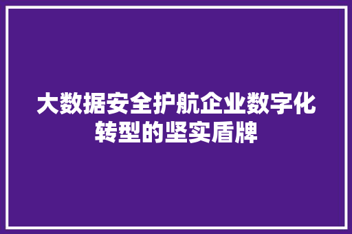 大数据安全护航企业数字化转型的坚实盾牌