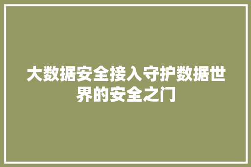 大数据安全接入守护数据世界的安全之门