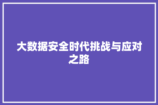大数据安全时代挑战与应对之路