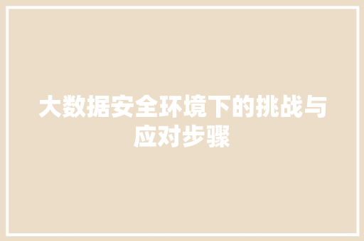大数据安全环境下的挑战与应对步骤