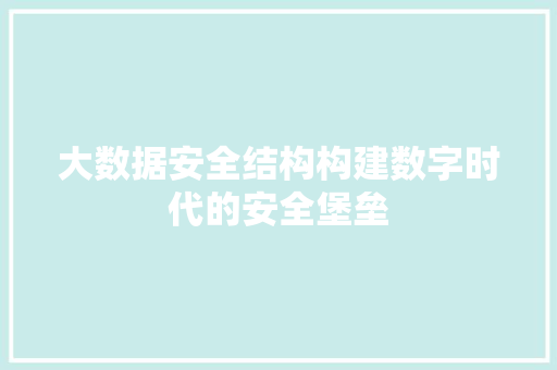 大数据安全结构构建数字时代的安全堡垒