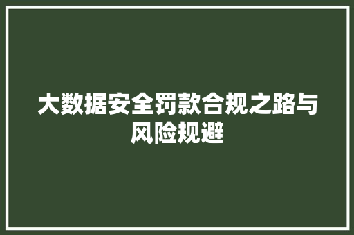 大数据安全罚款合规之路与风险规避