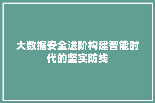 大数据安全进阶构建智能时代的坚实防线