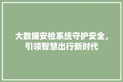 大数据安检系统守护安全，引领智慧出行新时代
