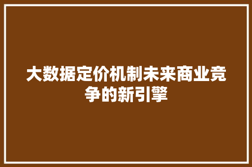 大数据定价机制未来商业竞争的新引擎