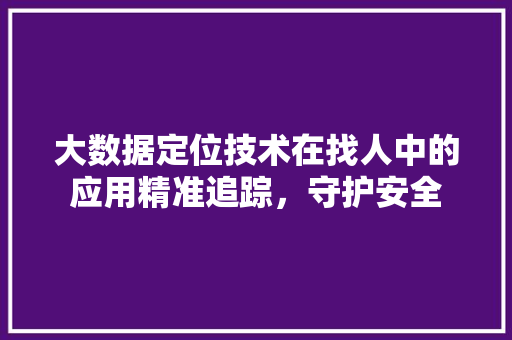 大数据定位技术在找人中的应用精准追踪，守护安全