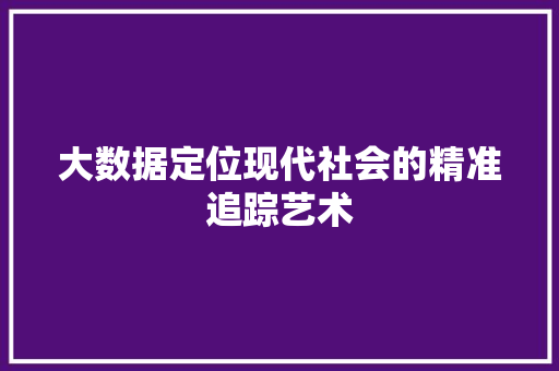 大数据定位现代社会的精准追踪艺术