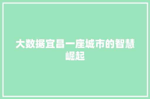 大数据宜昌一座城市的智慧崛起