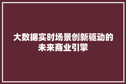 大数据实时场景创新驱动的未来商业引擎