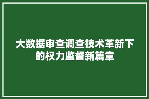 大数据审查调查技术革新下的权力监督新篇章