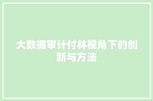 大数据审计付林视角下的创新与方法