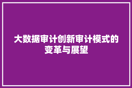 大数据审计创新审计模式的变革与展望