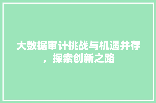 大数据审计挑战与机遇并存，探索创新之路
