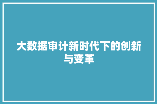 大数据审计新时代下的创新与变革