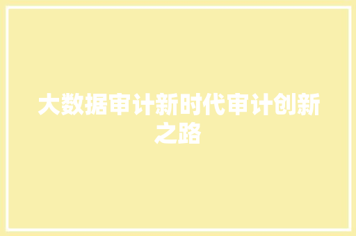 大数据审计新时代审计创新之路