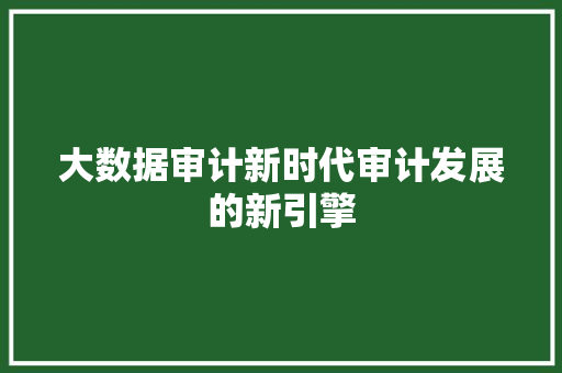 大数据审计新时代审计发展的新引擎
