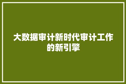 大数据审计新时代审计工作的新引擎