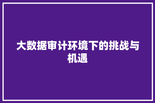 大数据审计环境下的挑战与机遇