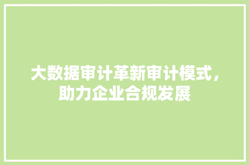 大数据审计革新审计模式，助力企业合规发展