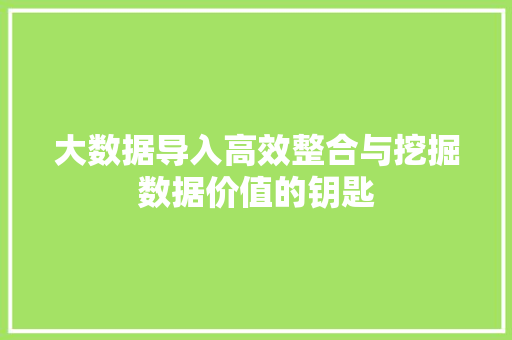 大数据导入高效整合与挖掘数据价值的钥匙