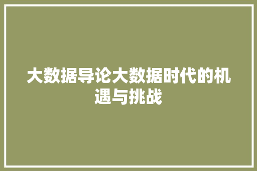 大数据导论大数据时代的机遇与挑战