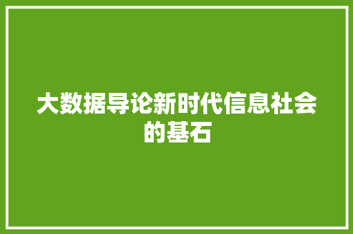大数据导论新时代信息社会的基石