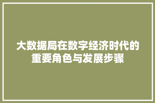 大数据局在数字经济时代的重要角色与发展步骤