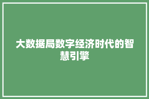 大数据局数字经济时代的智慧引擎