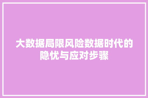 大数据局限风险数据时代的隐忧与应对步骤